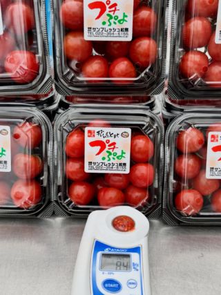 サンフレッシュ松島 −「松島とまと」(松島トマト)などの桃太郎エイト